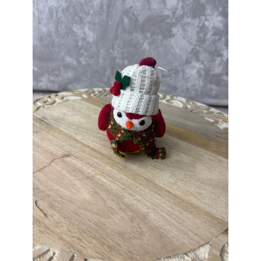 Red Fabric Bird Christmas Ornament White Knit Hat Green Scarf Holiday Decor